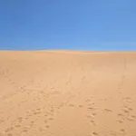 Golden Dune View Apartment