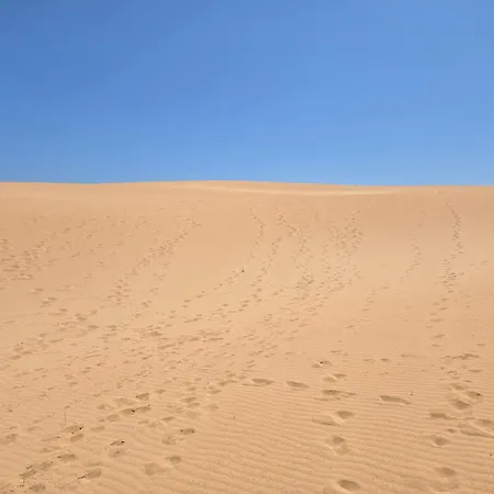Golden Dune View Apartment